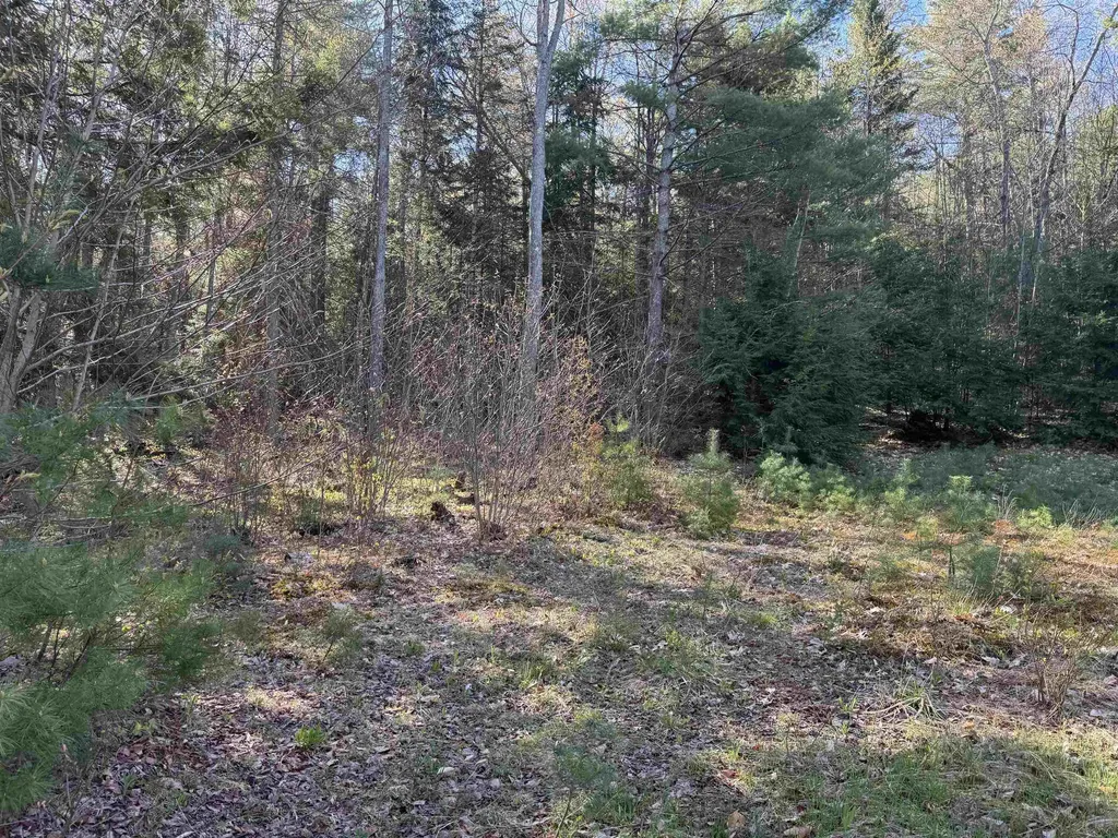 807 Kidder Hood Road West Fairlee VT 05083