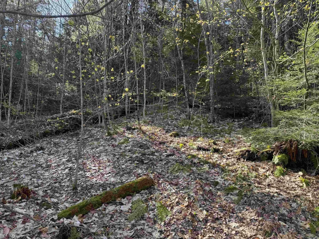 807 Kidder Hood Road West Fairlee VT 05083