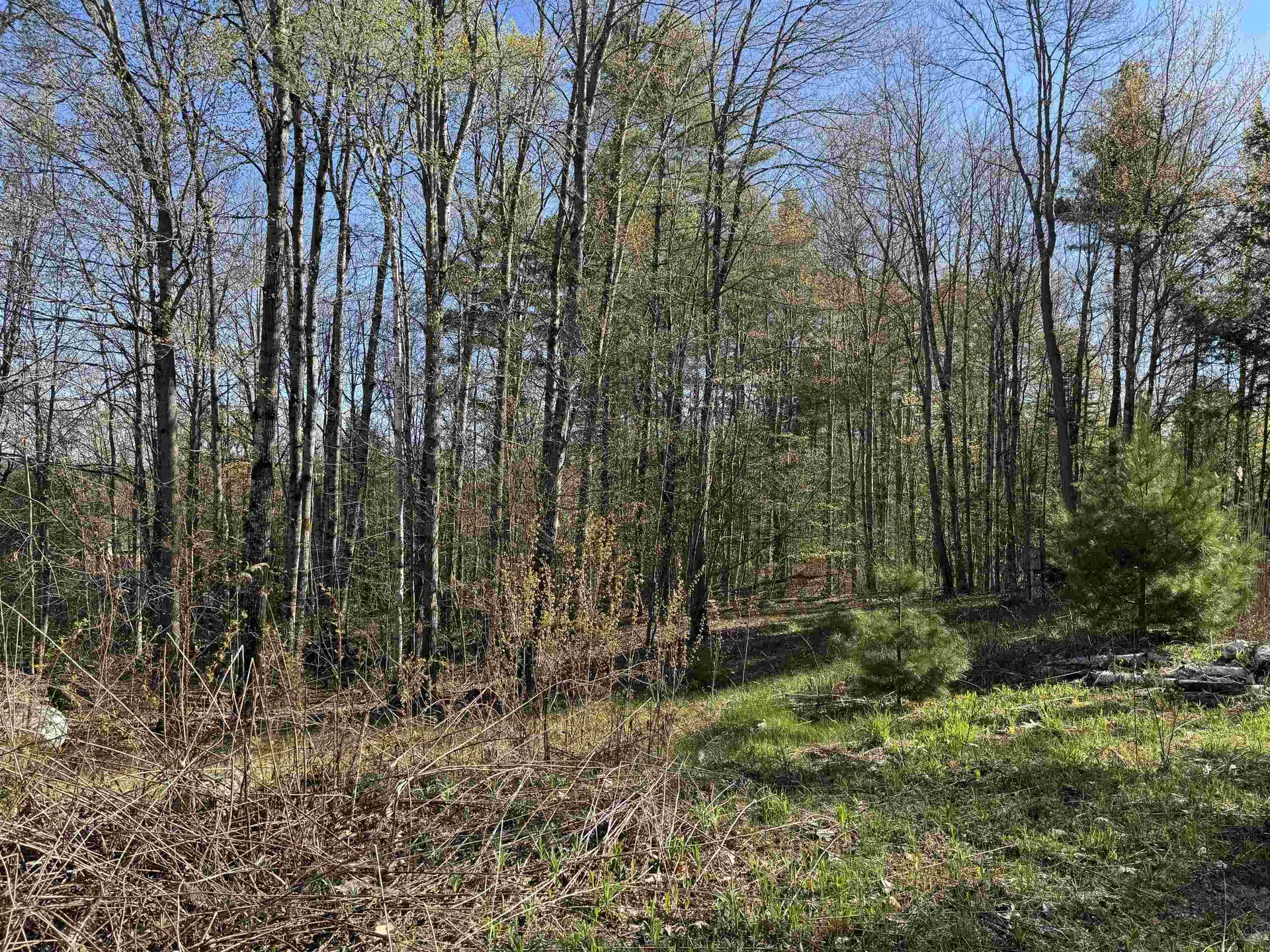 807 Kidder Hood Road West Fairlee VT 05083