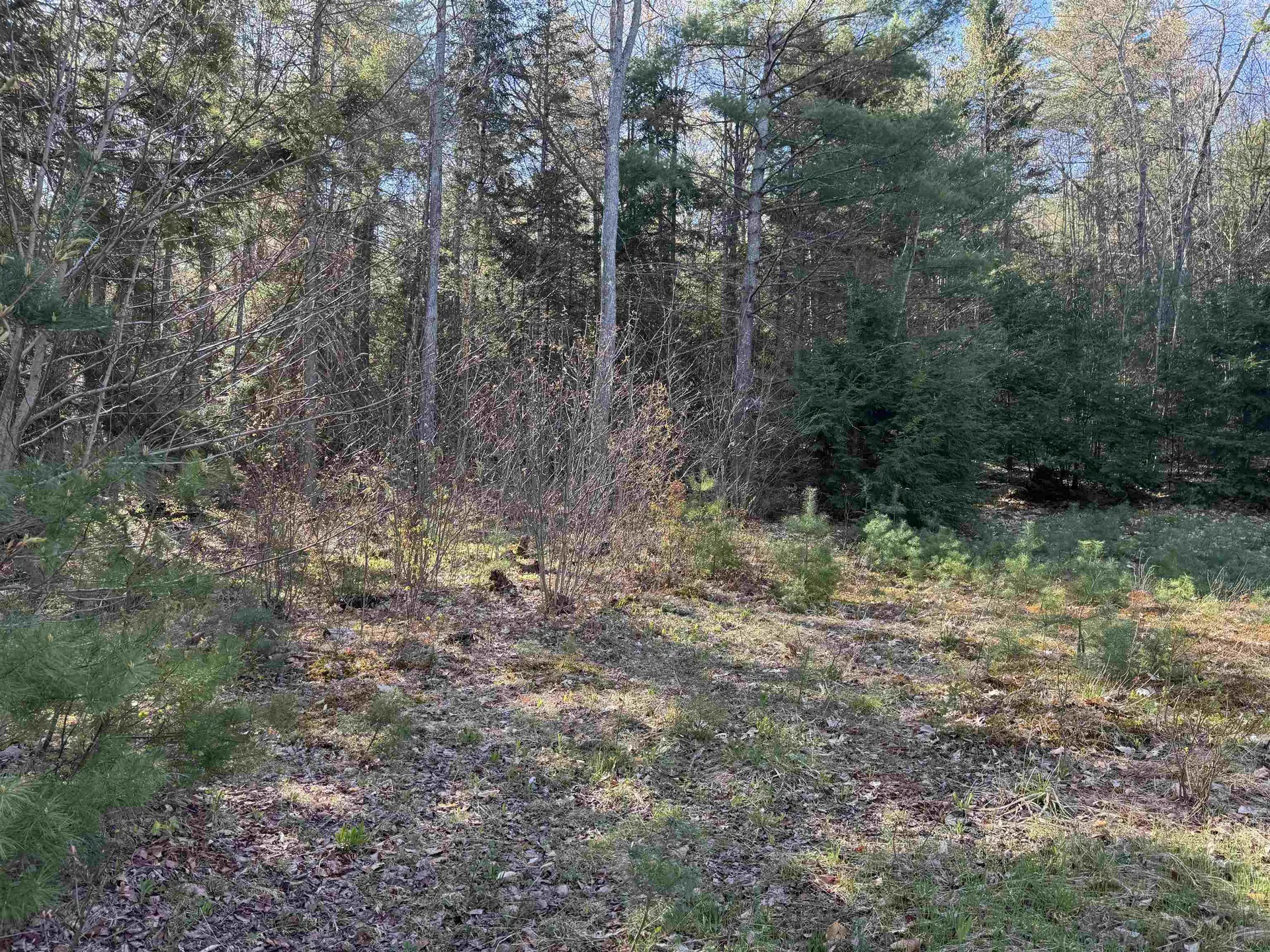 807 Kidder Hood Road West Fairlee VT 05083
