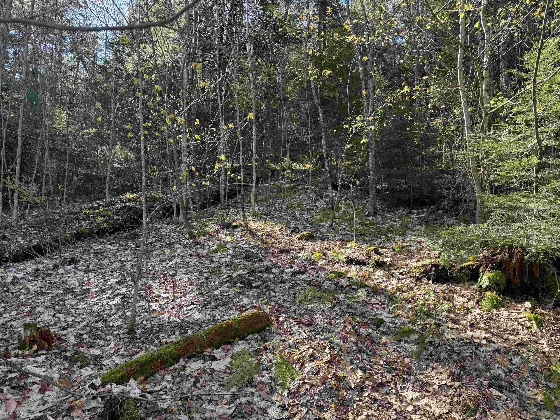 807 Kidder Hood Road West Fairlee VT 05083