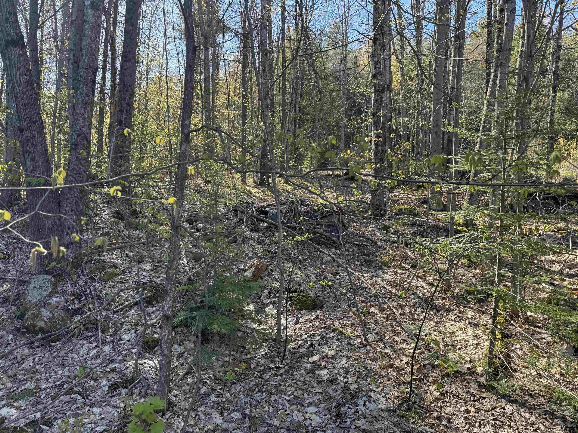 807 Kidder Hood Road West Fairlee VT 05083