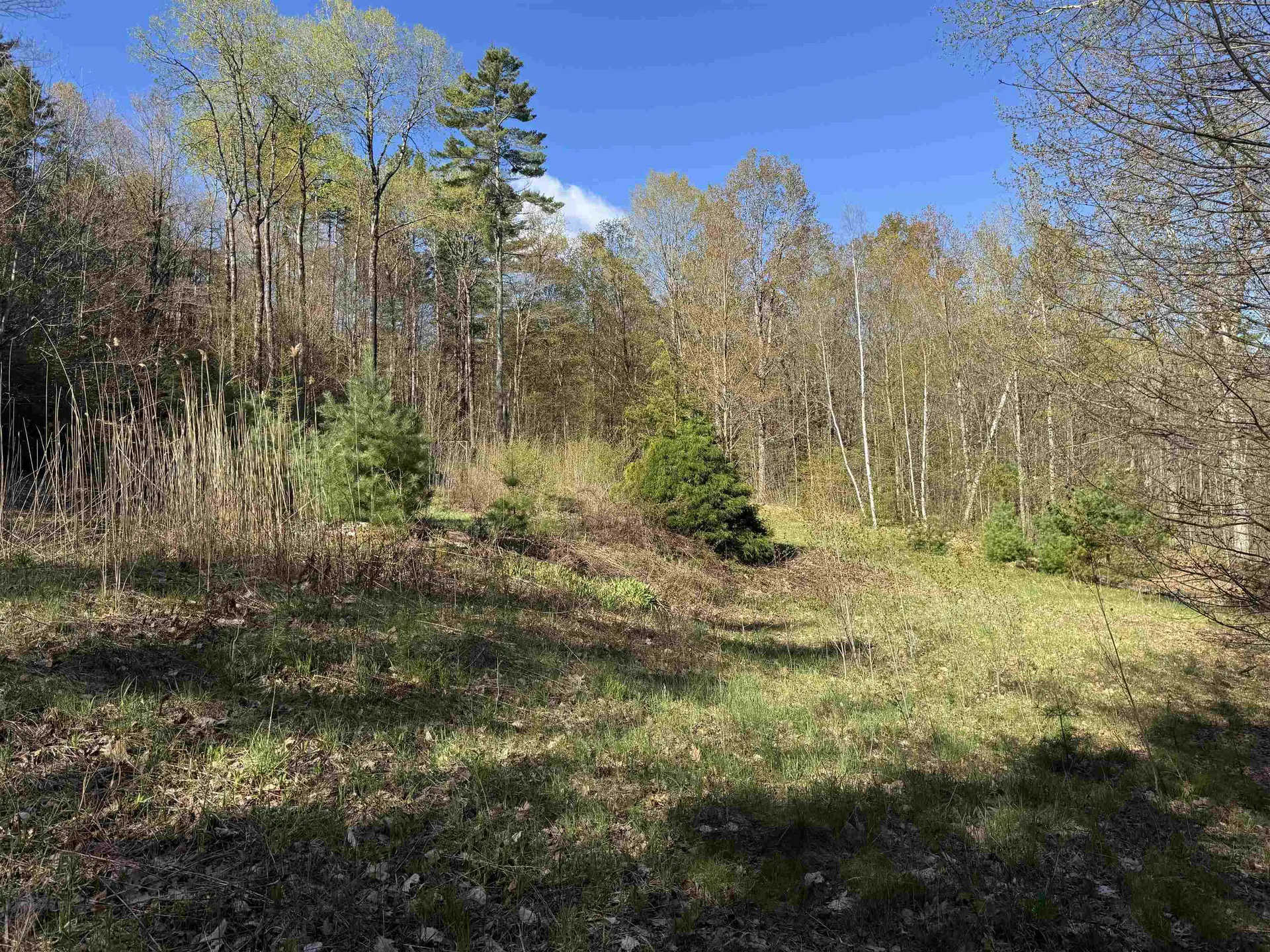 807 Kidder Hood Road West Fairlee VT 05083
