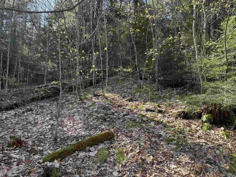 807 Kidder Hood Road West Fairlee VT 05083