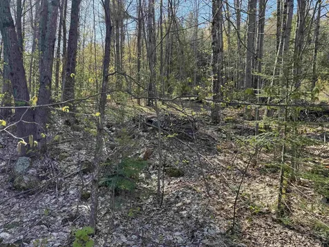 807 Kidder Hood Road West Fairlee VT 05083