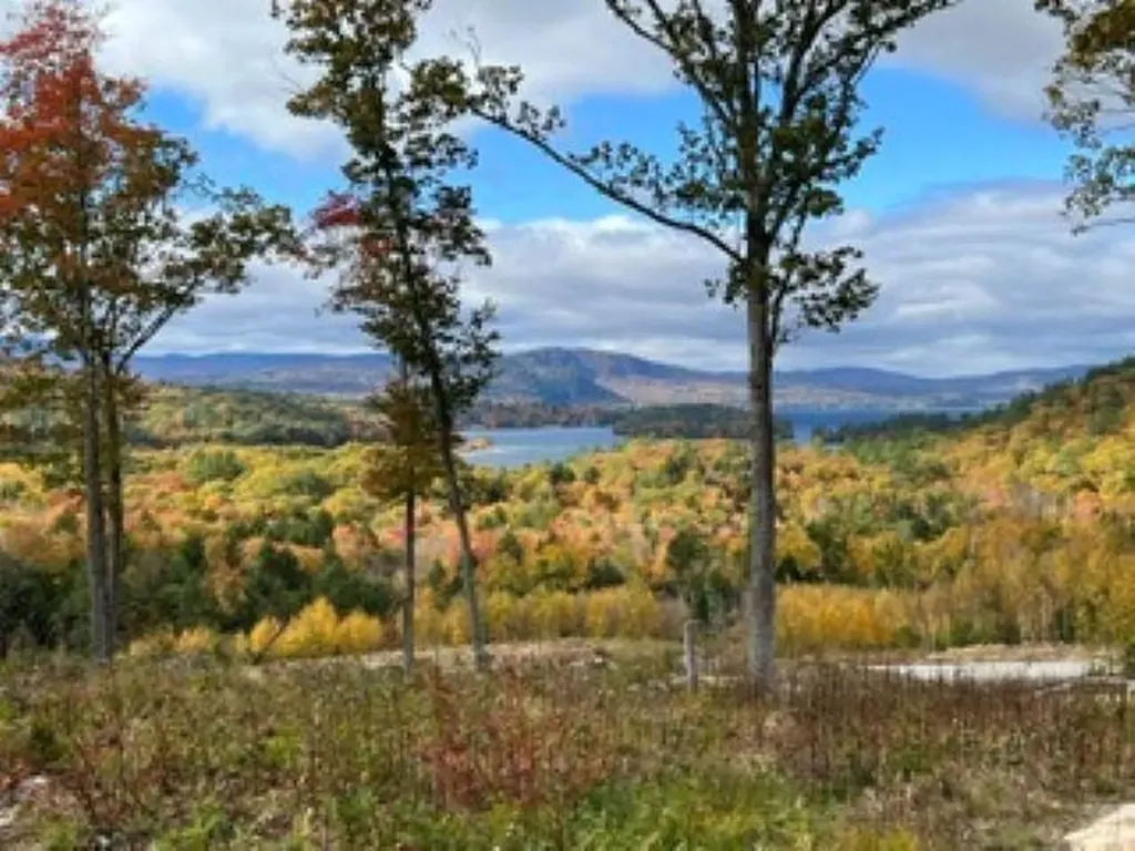 207 Overlook Drive Bristol NH 03222