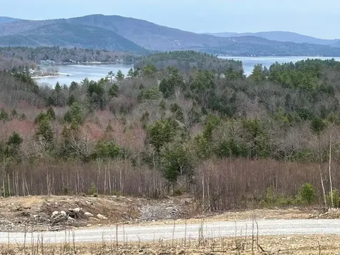 207 Overlook Drive Bristol NH 03222