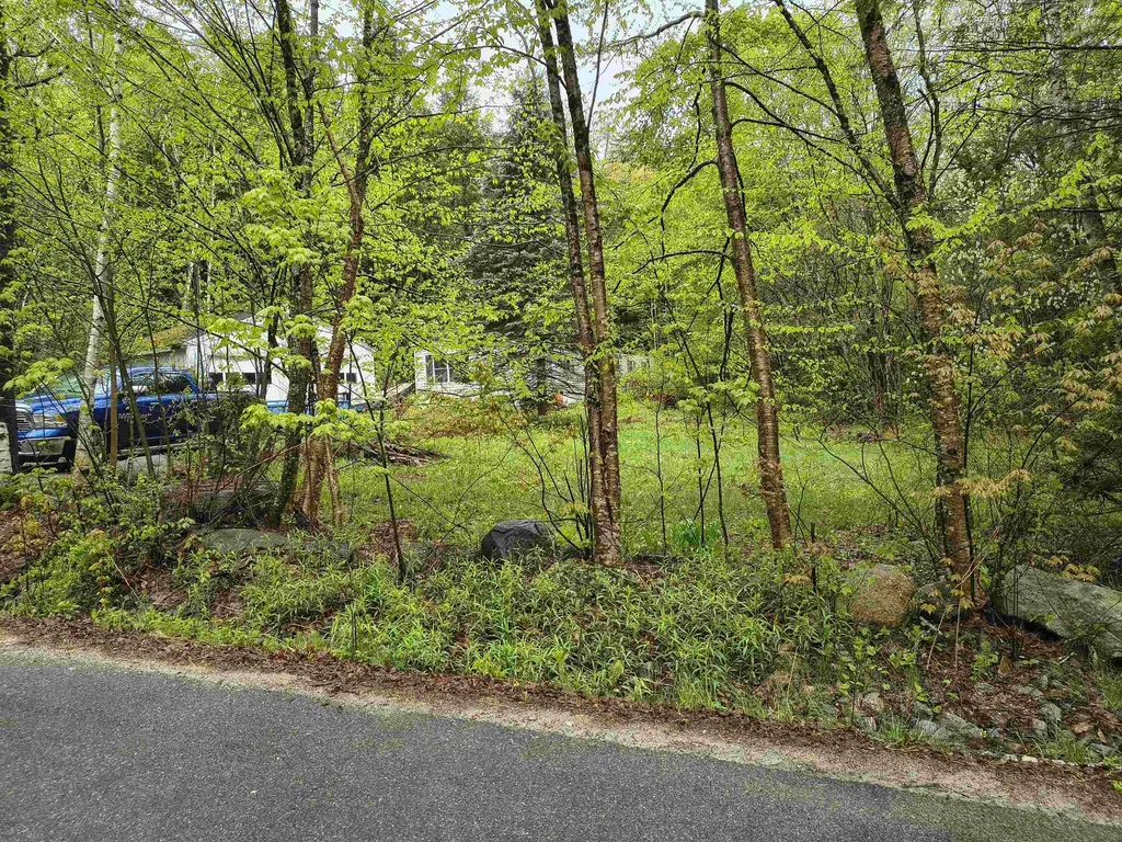 106 Waldron Hill Road Warner NH 03278