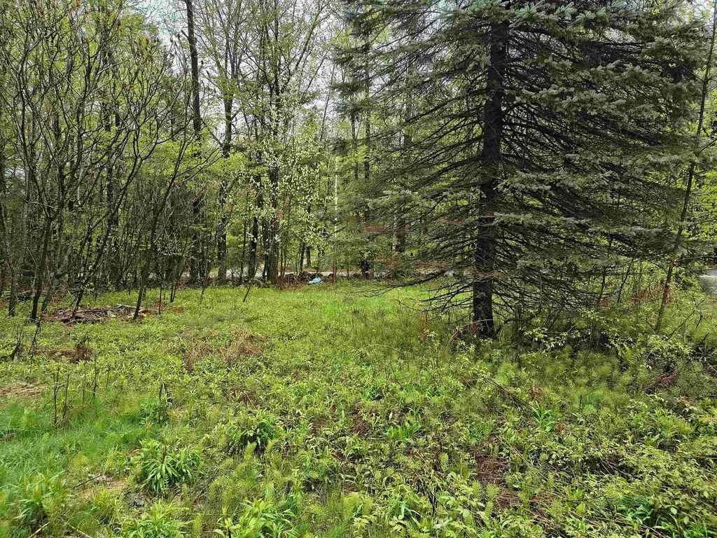 106 Waldron Hill Road Warner NH 03278