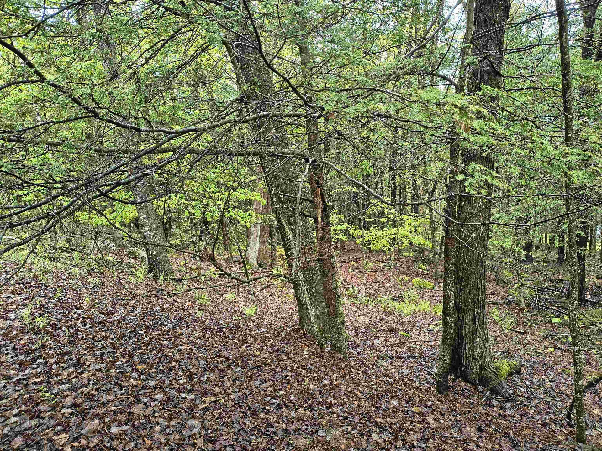 106 Waldron Hill Road Warner NH 03278