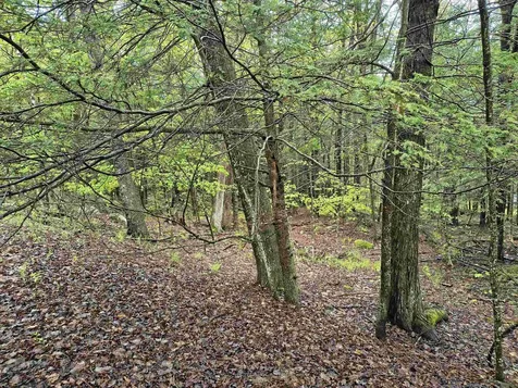 106 Waldron Hill Road Warner NH 03278