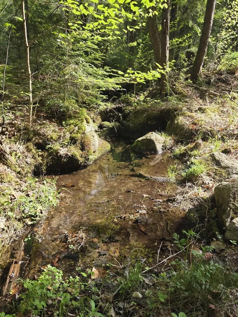Rock Creek Drive Haverhill NH 03765