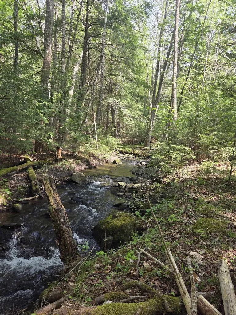 Rock Creek Drive Haverhill NH 03765