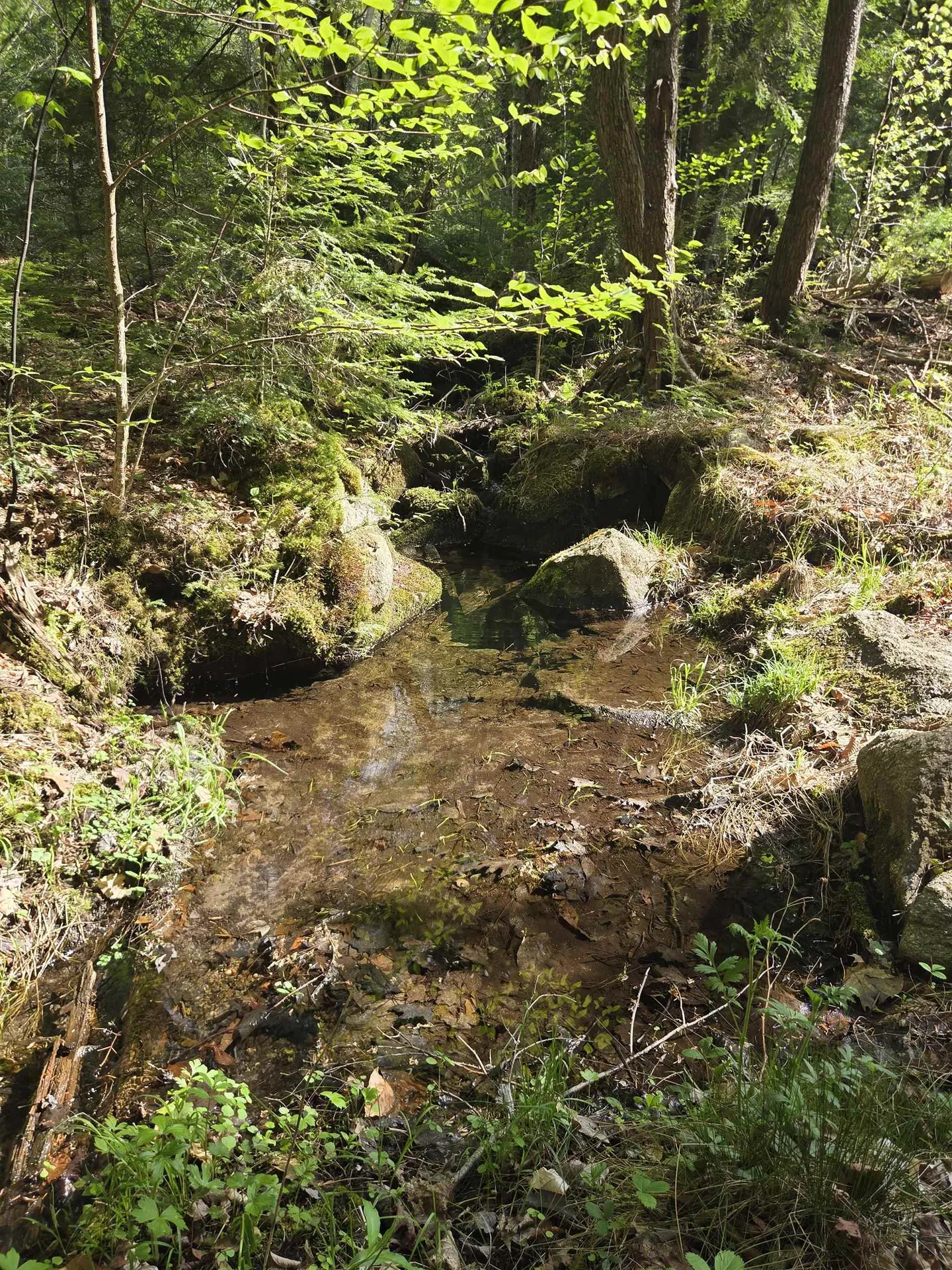 Rock Creek Drive Haverhill NH 03765