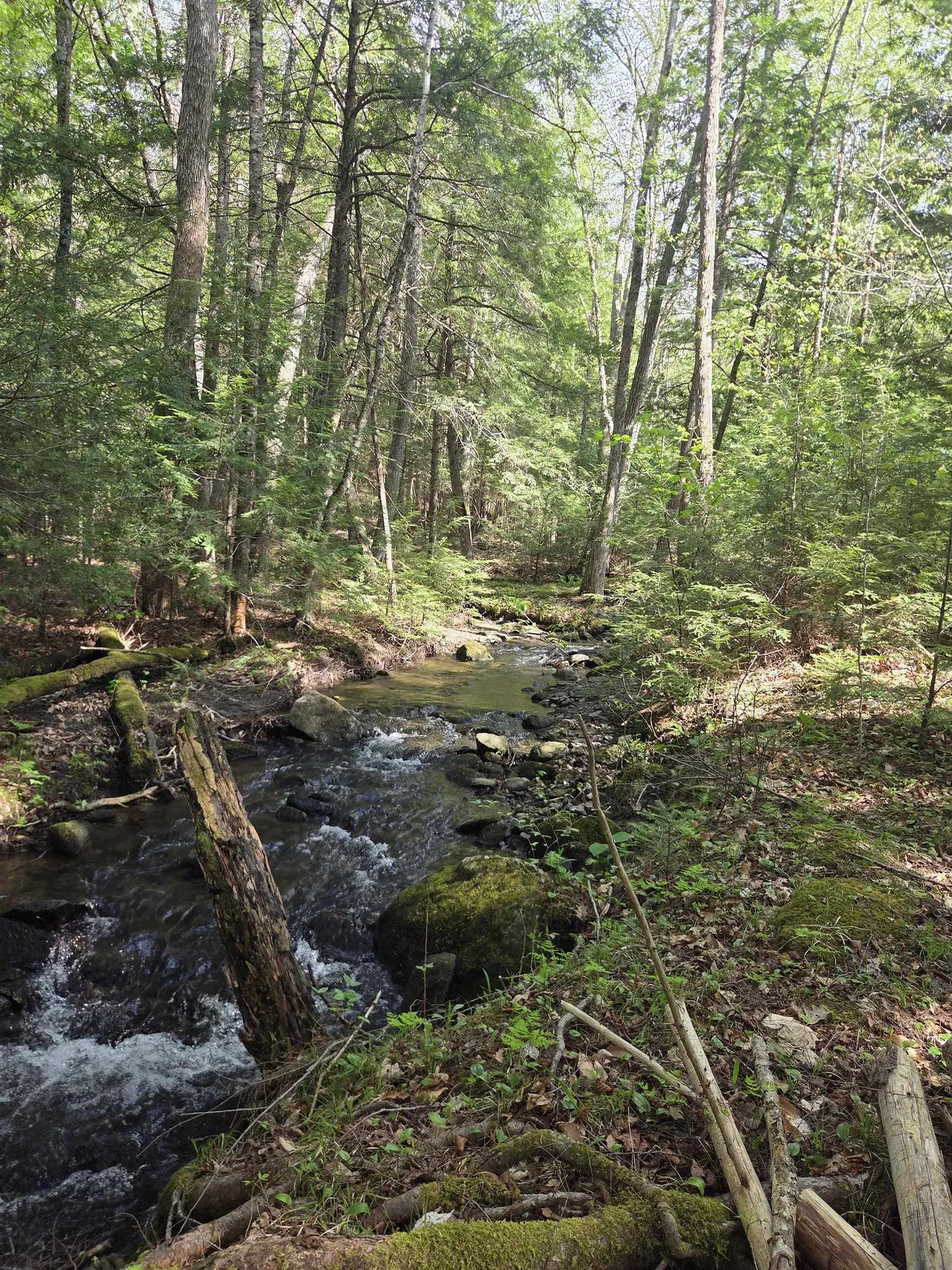Rock Creek Drive Haverhill NH 03765