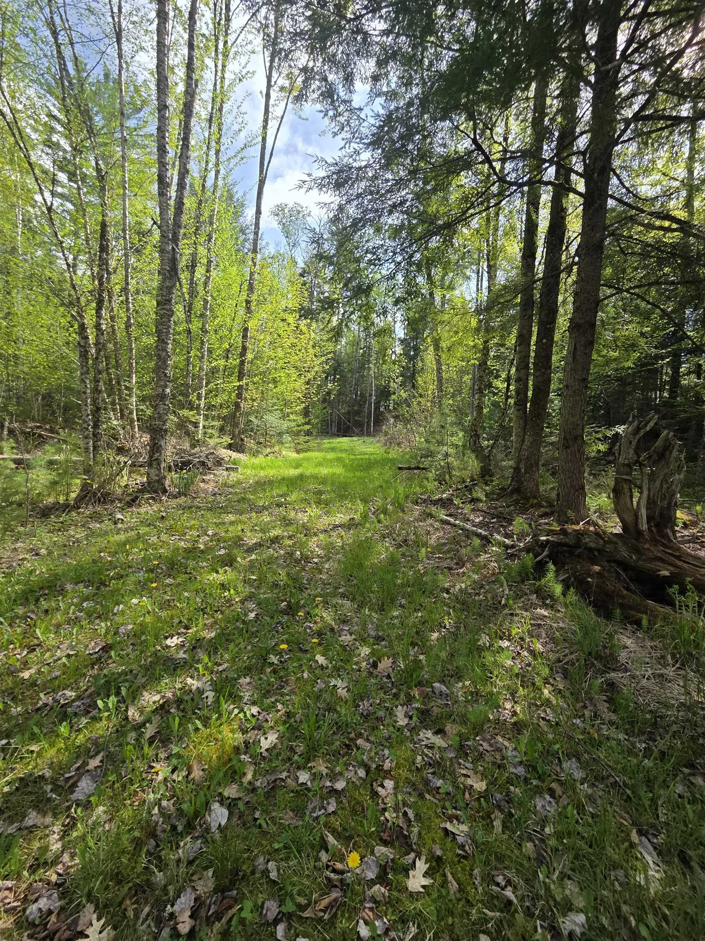 Rock Creek Drive Haverhill NH 03765