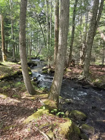 Rock Creek Drive Haverhill NH 03765