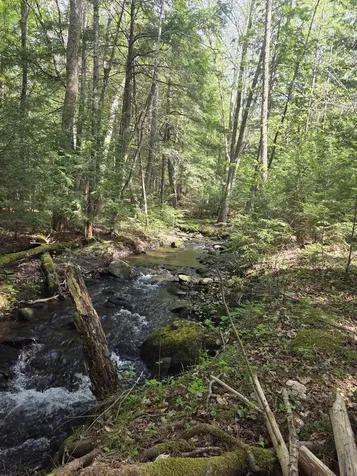 Rock Creek Drive Haverhill NH 03765