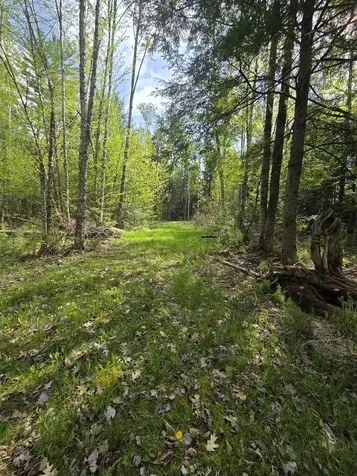 Rock Creek Drive Haverhill NH 03765