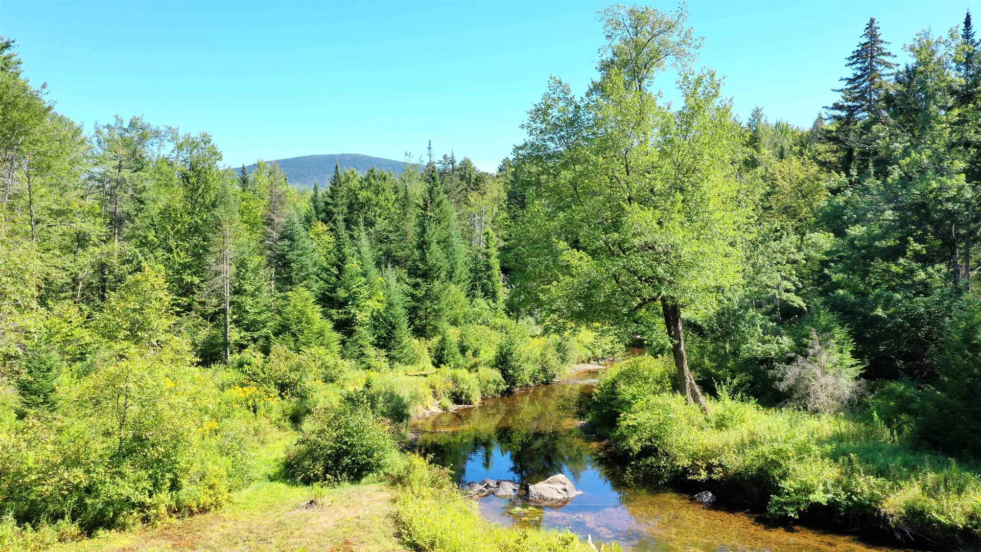 14 Fox Run Road Wilmot NH 03287