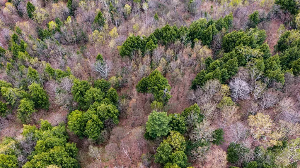 0 Shattuck Hill Road Derby VT 05829