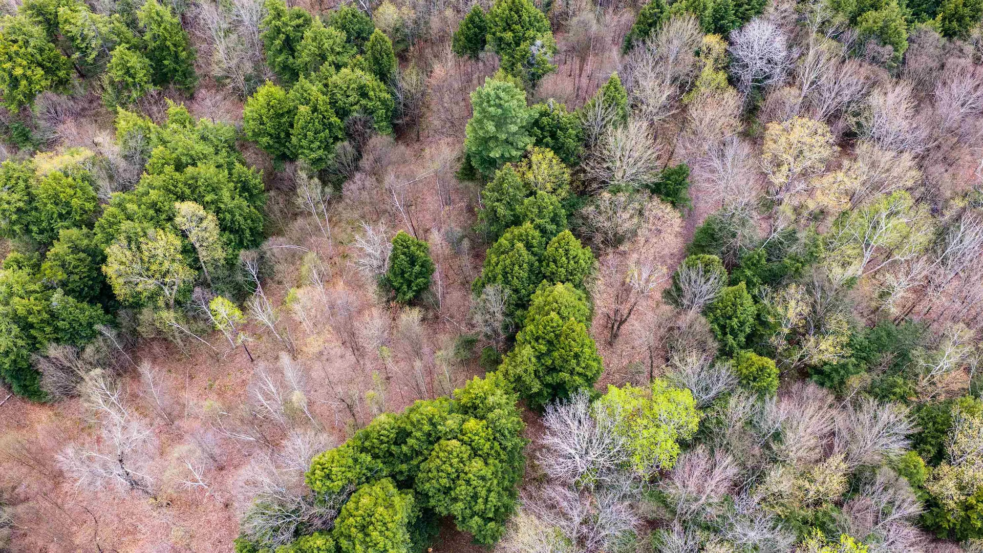 0 Shattuck Hill Road Derby VT 05829