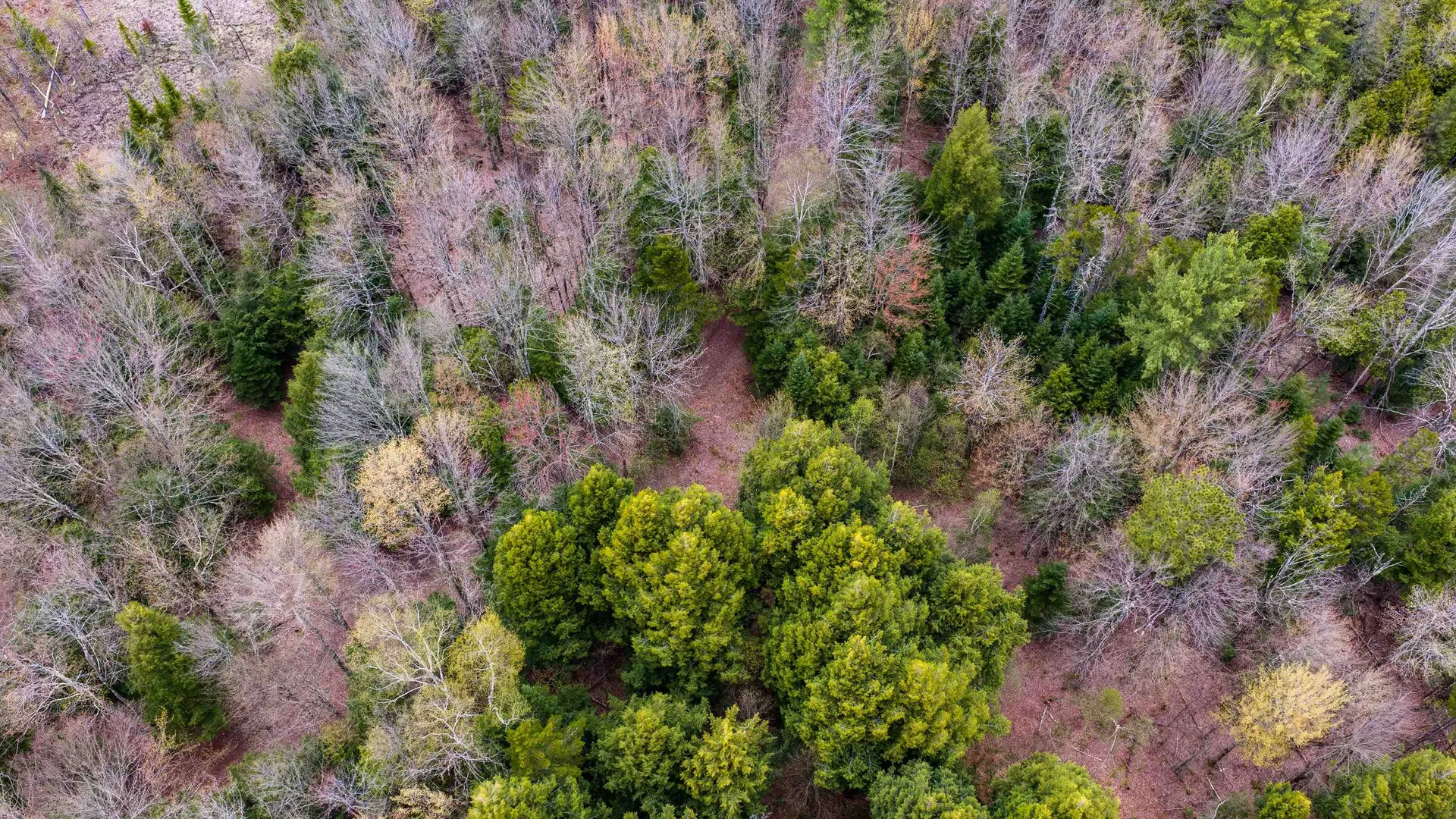 0 Shattuck Hill Road Derby VT 05829