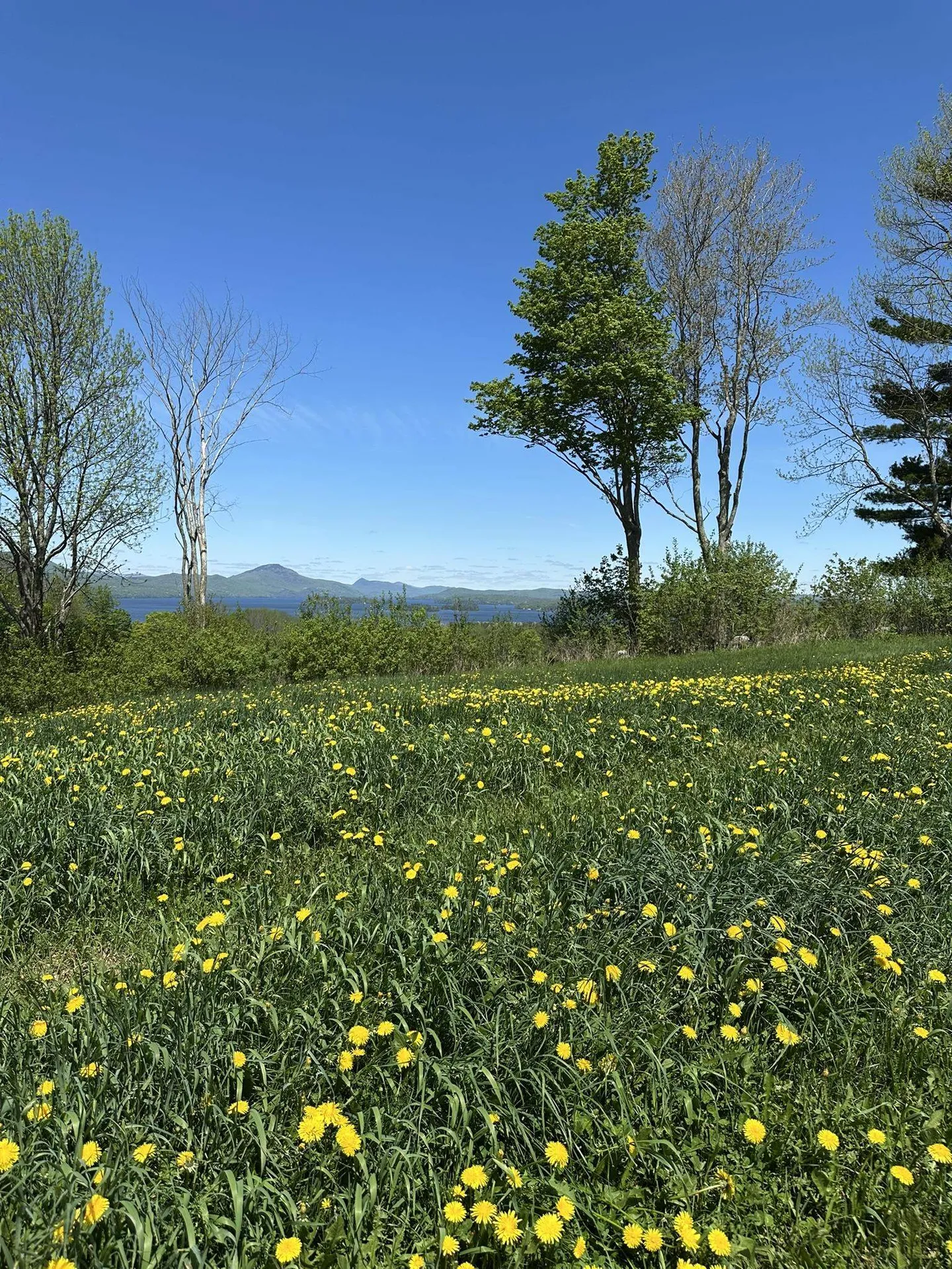 0 Shattuck Hill Road Derby VT 05829