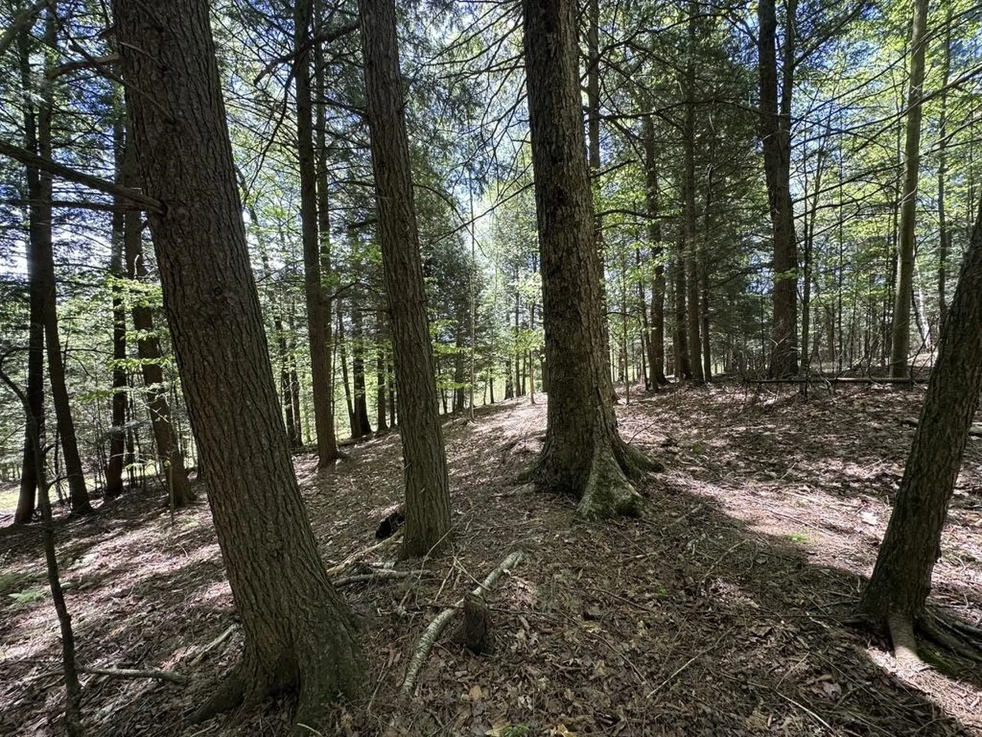 0 Shattuck Hill Road Derby VT 05829