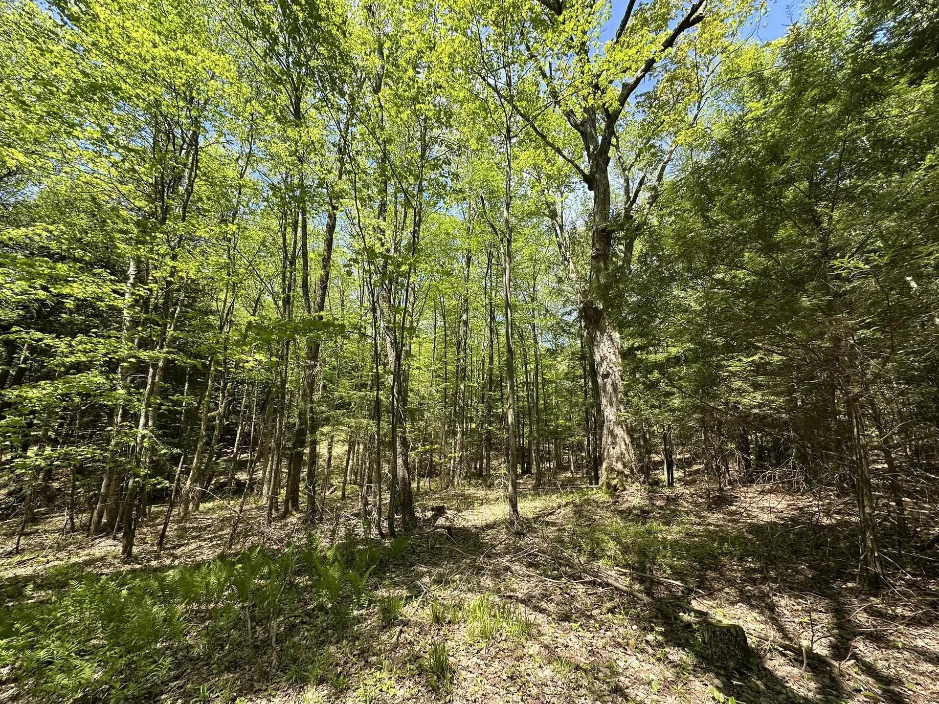 0 Shattuck Hill Road Derby VT 05829