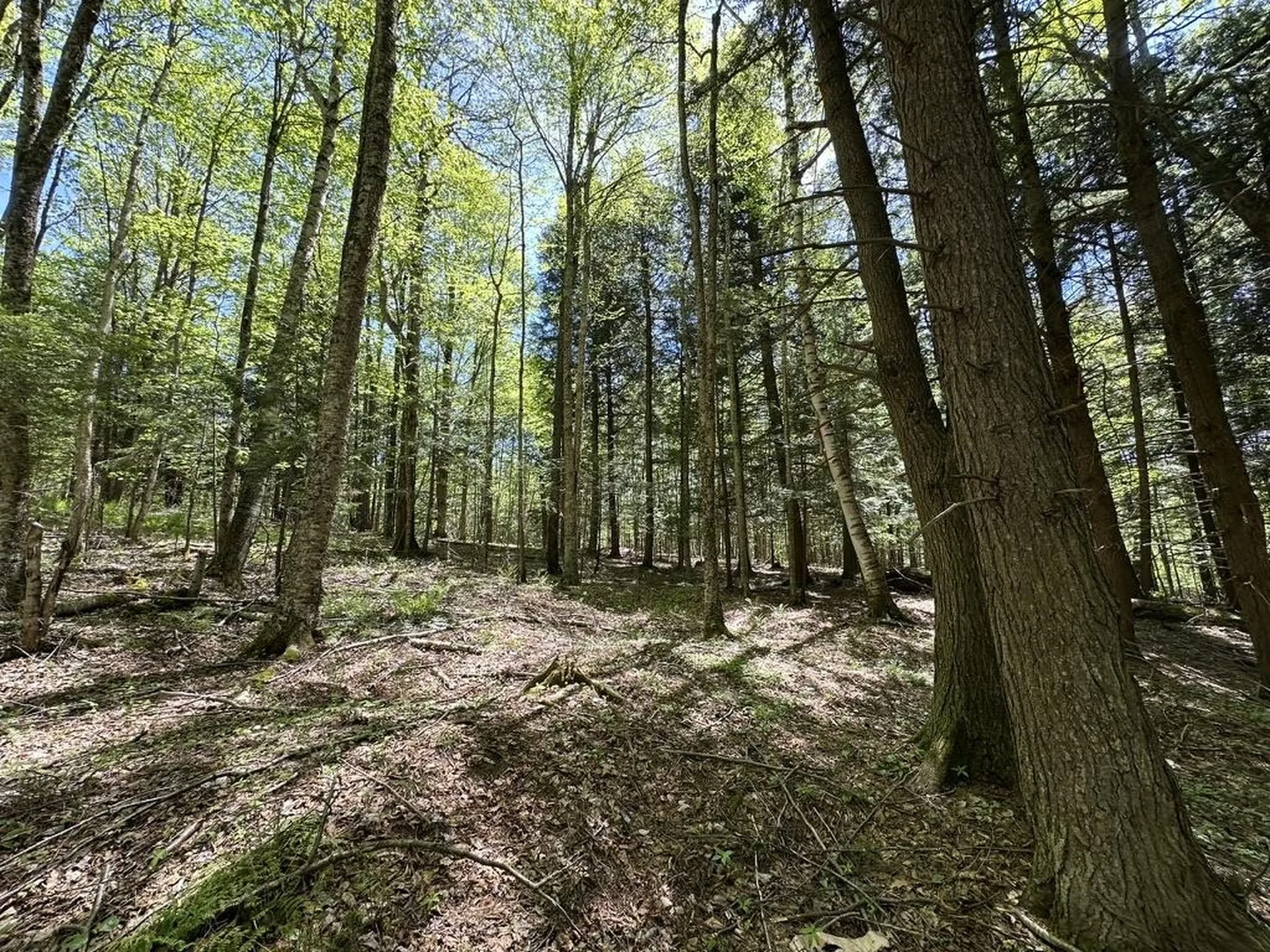 0 Shattuck Hill Road Derby VT 05829