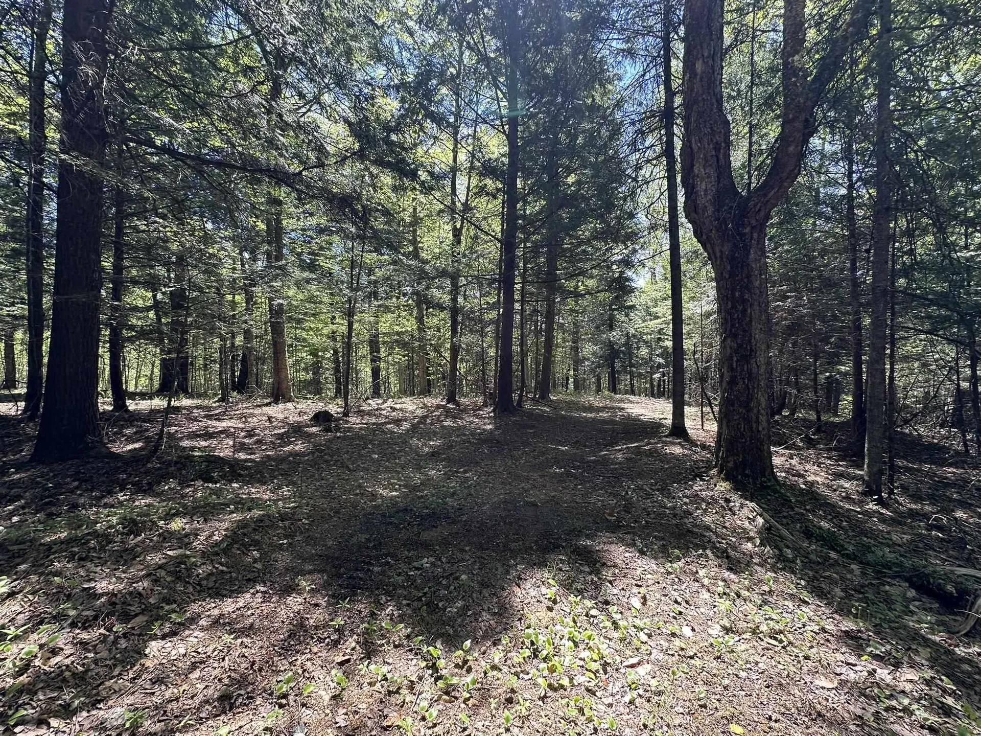 0 Shattuck Hill Road Derby VT 05829