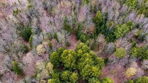 0 Shattuck Hill Road Derby VT 05829