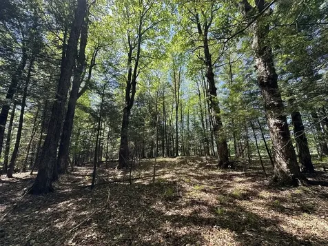 0 Shattuck Hill Road Derby VT 05829