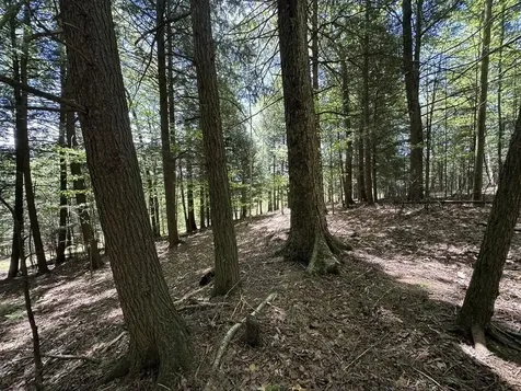 0 Shattuck Hill Road Derby VT 05829