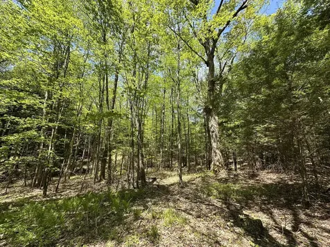0 Shattuck Hill Road Derby VT 05829