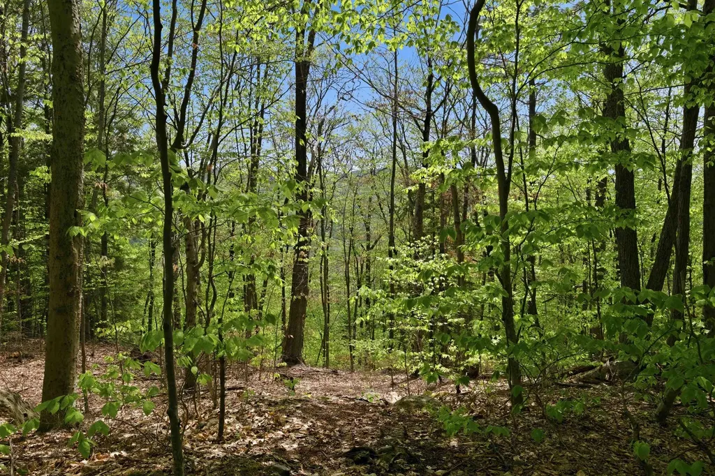 339 George Road Hebron NH 03241