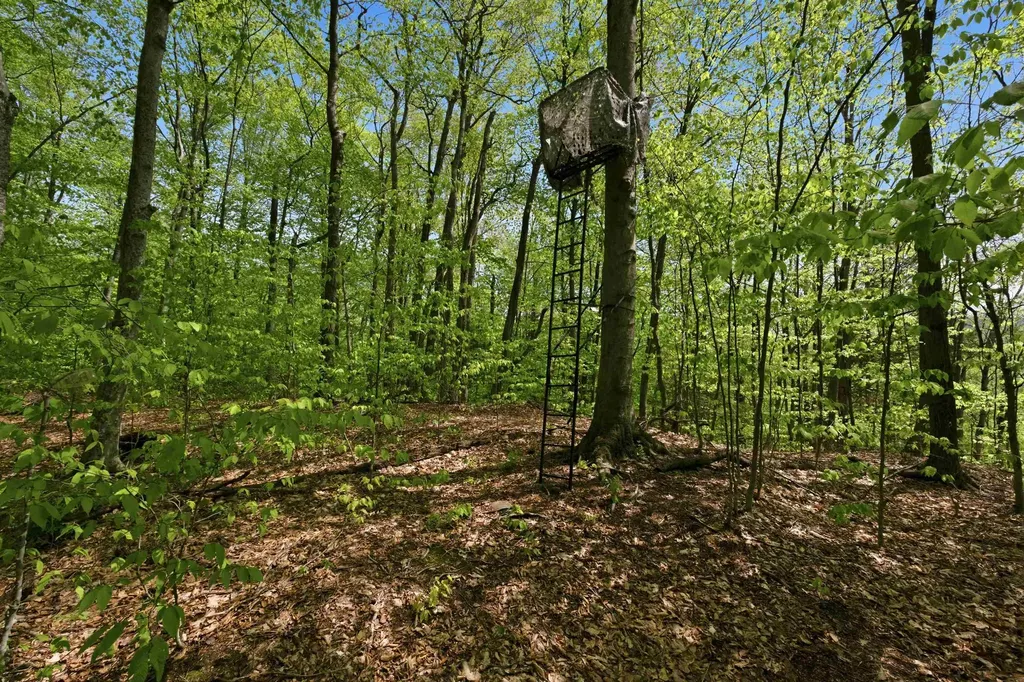 339 George Road Hebron NH 03241