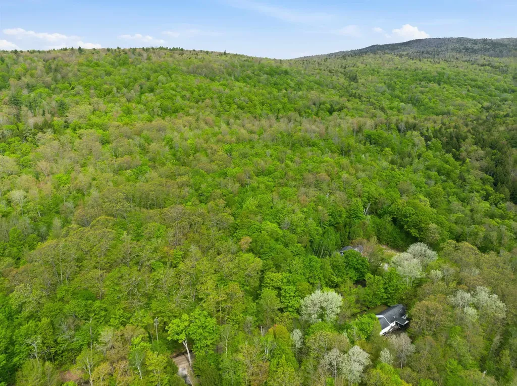 339 George Road Hebron NH 03241
