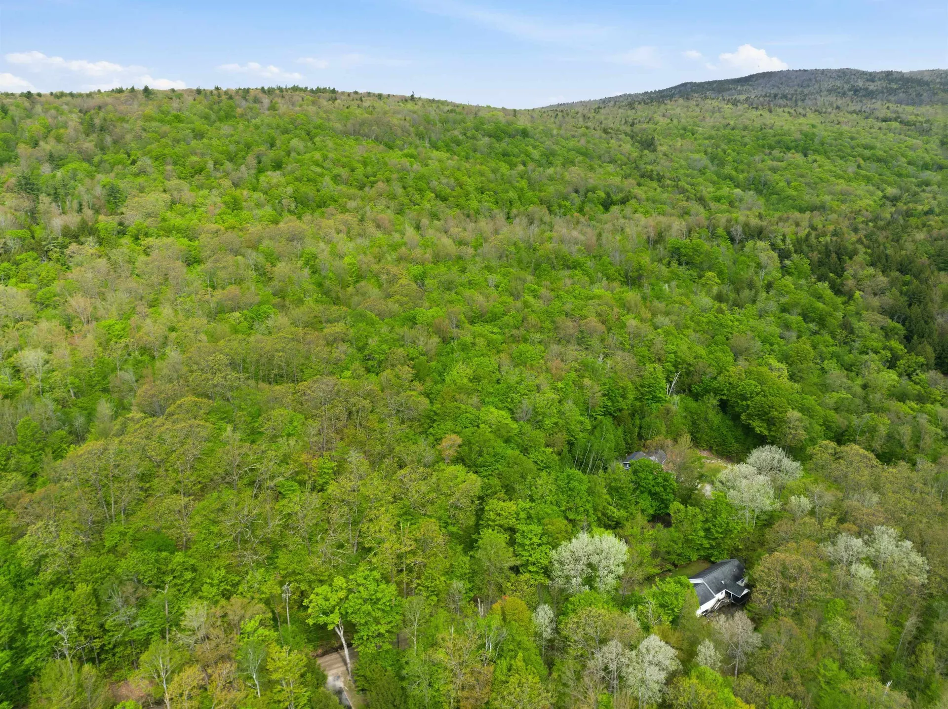 339 George Road Hebron NH 03241