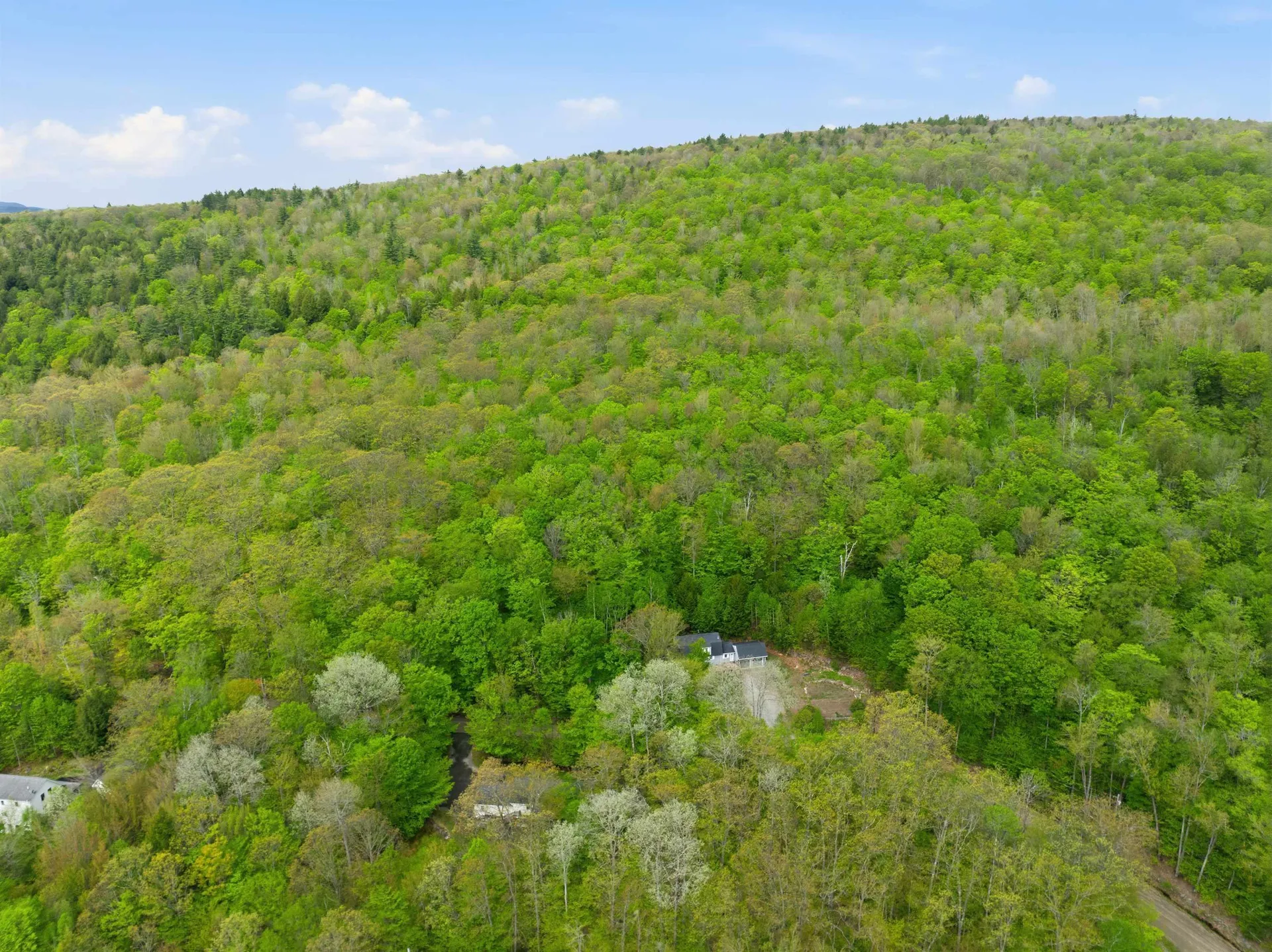 339 George Road Hebron NH 03241