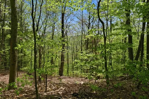 339 George Road Hebron NH 03241