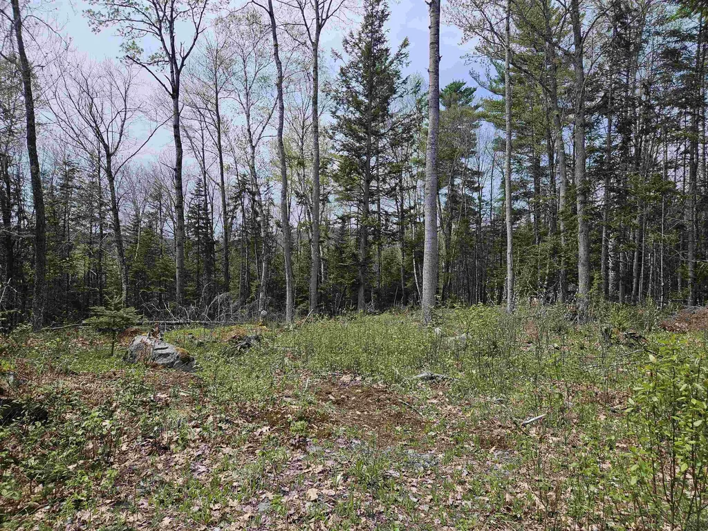 Lot 10.1 Wallace Hill Road Franconia NH 03580