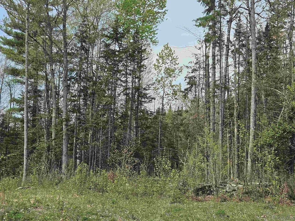 Lot 10.1 Wallace Hill Road Franconia NH 03580