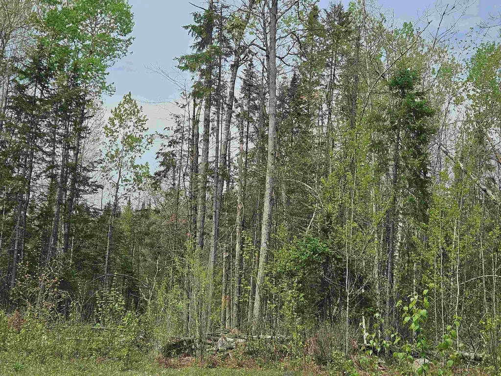 Lot 10.1 Wallace Hill Road Franconia NH 03580