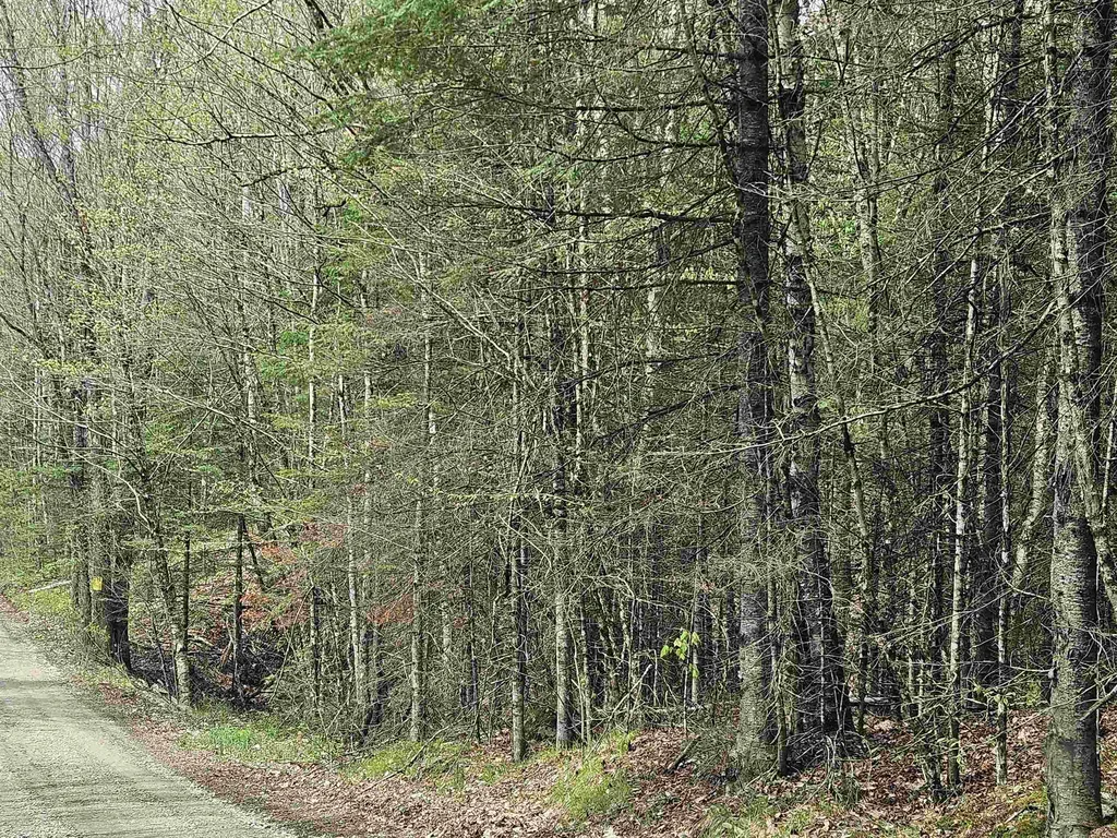 Lot 10.1 Wallace Hill Road Franconia NH 03580