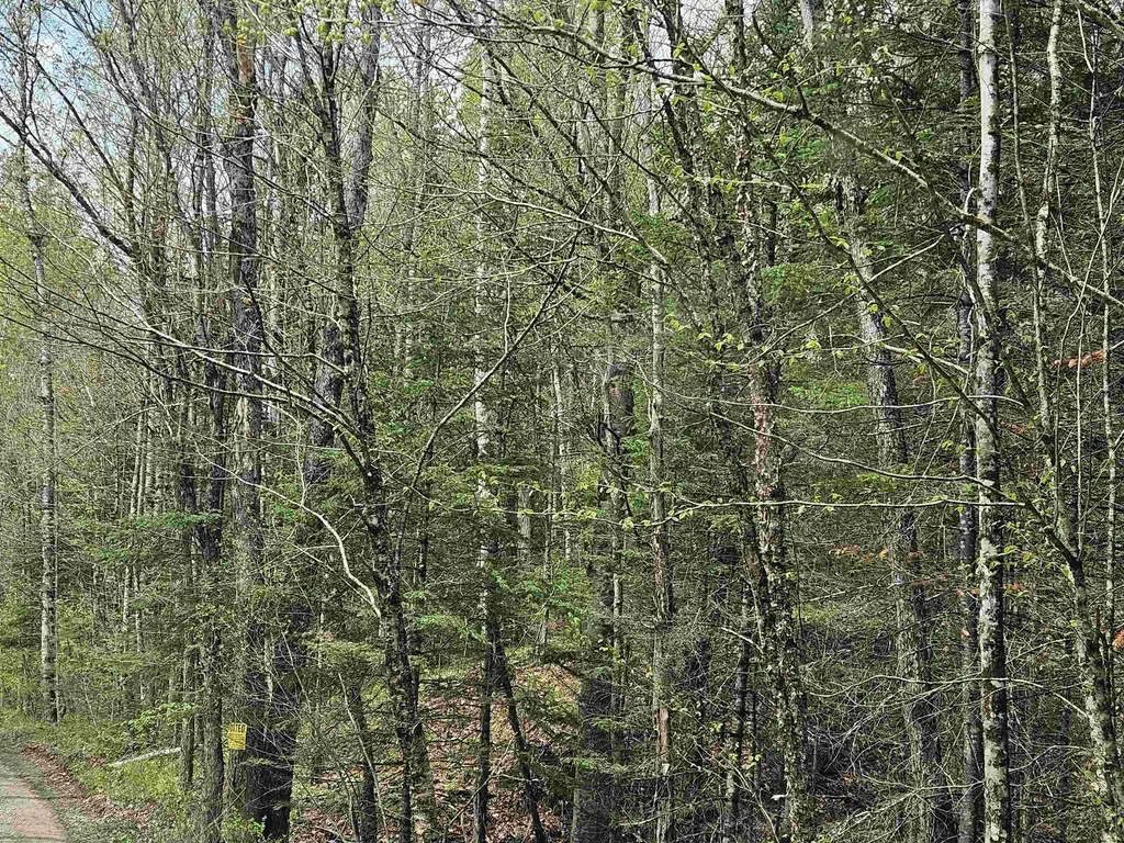 Lot 10.1 Wallace Hill Road Franconia NH 03580