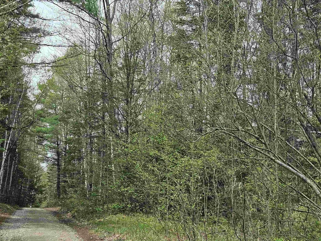 Lot 10.1 Wallace Hill Road Franconia NH 03580