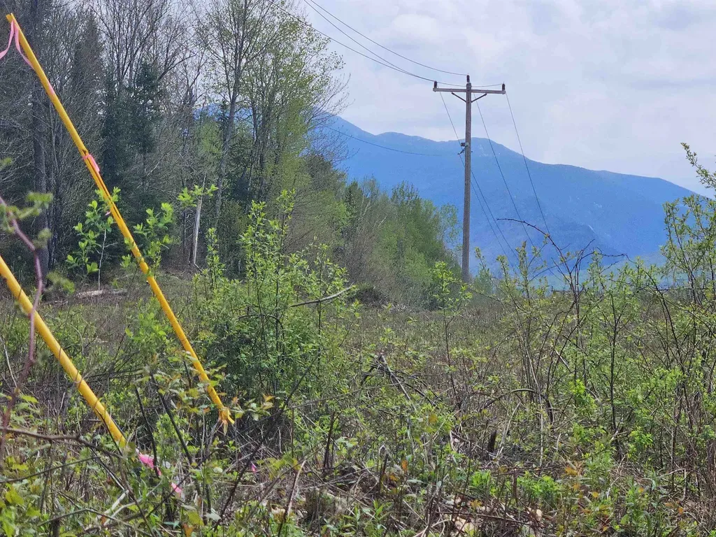 Lot 10.1 Wallace Hill Road Franconia NH 03580