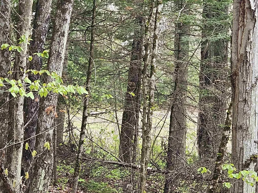 Lot 10.1 Wallace Hill Road Franconia NH 03580